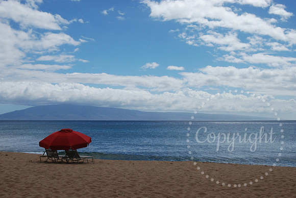 DSC_0502 edit