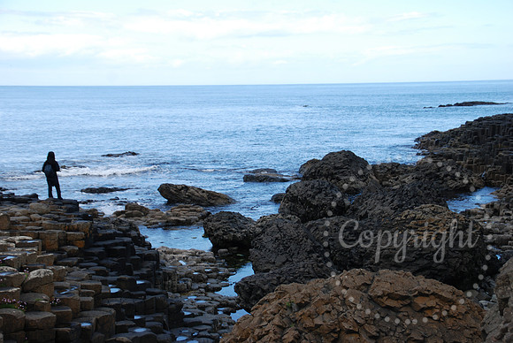 Day 7 DSC_0157