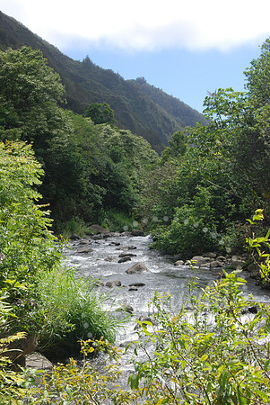 DSC_0353 edit