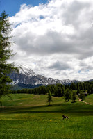 DSC_0337-1
